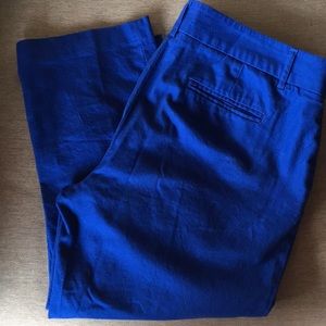 Dalia Cobalt Blue Trousers
